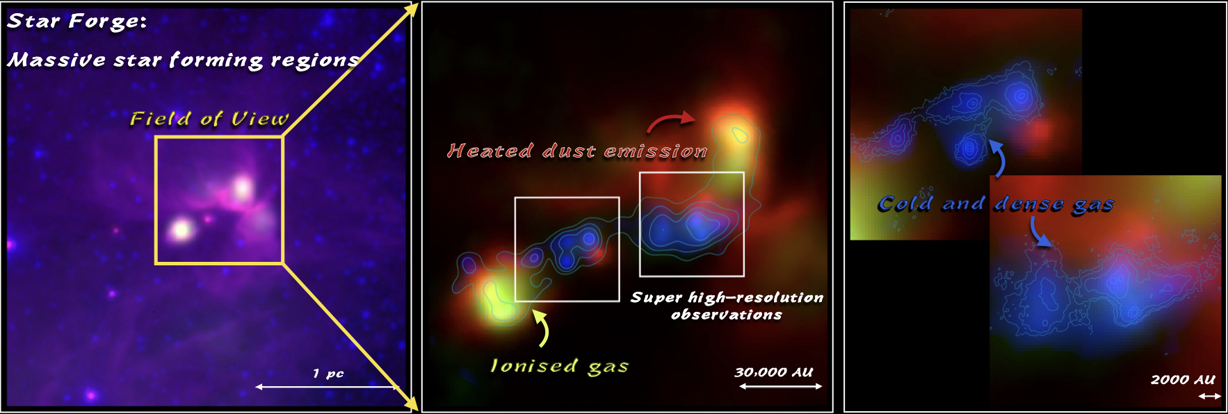 Multiphase dust, molecular gas, and ionized gas structure in a QUARKS target